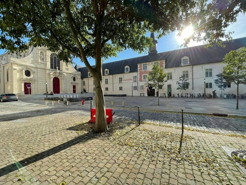 La Cour Barbatre Calme