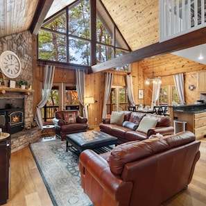 TV, fireplace, video games, DVD player