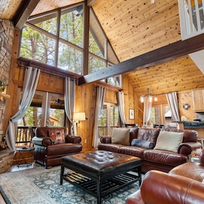 TV, fireplace, video games, DVD player