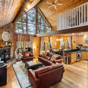 TV, fireplace, video games, DVD player