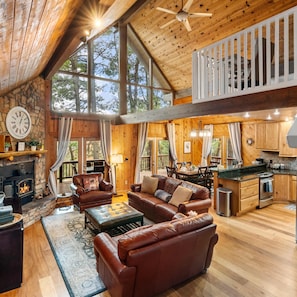 TV, fireplace, video games, DVD player