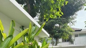 Un bâtiment moderne à l’extérieur blanc, doté d’une allée couverte et agrémenté d’une végétation luxuriante.
