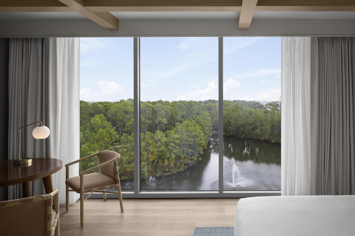 Vista des de l'habitació