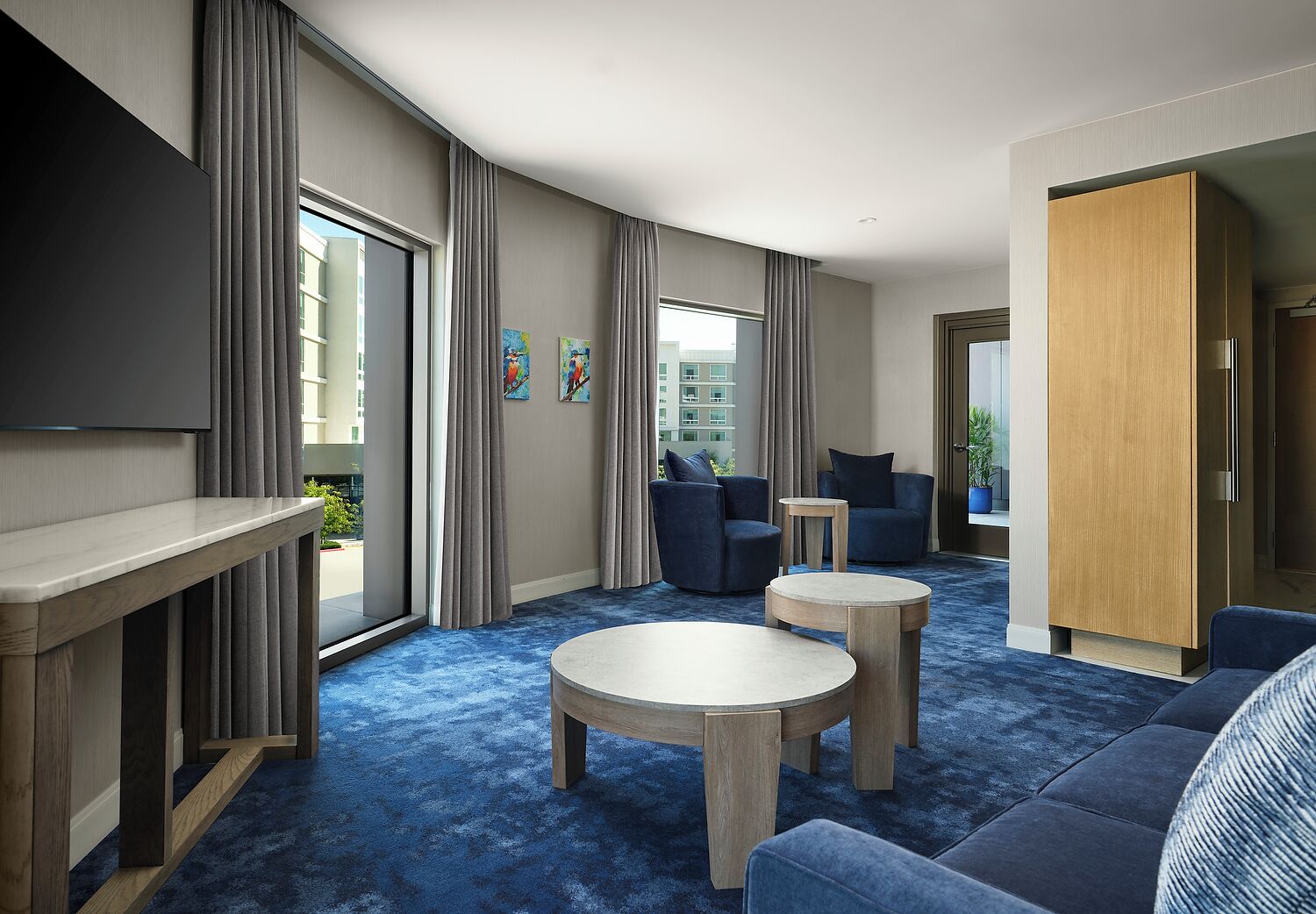 Junior Suite, 1 King Bed, Accessible, Park View (Roll-In Shower) | Living room