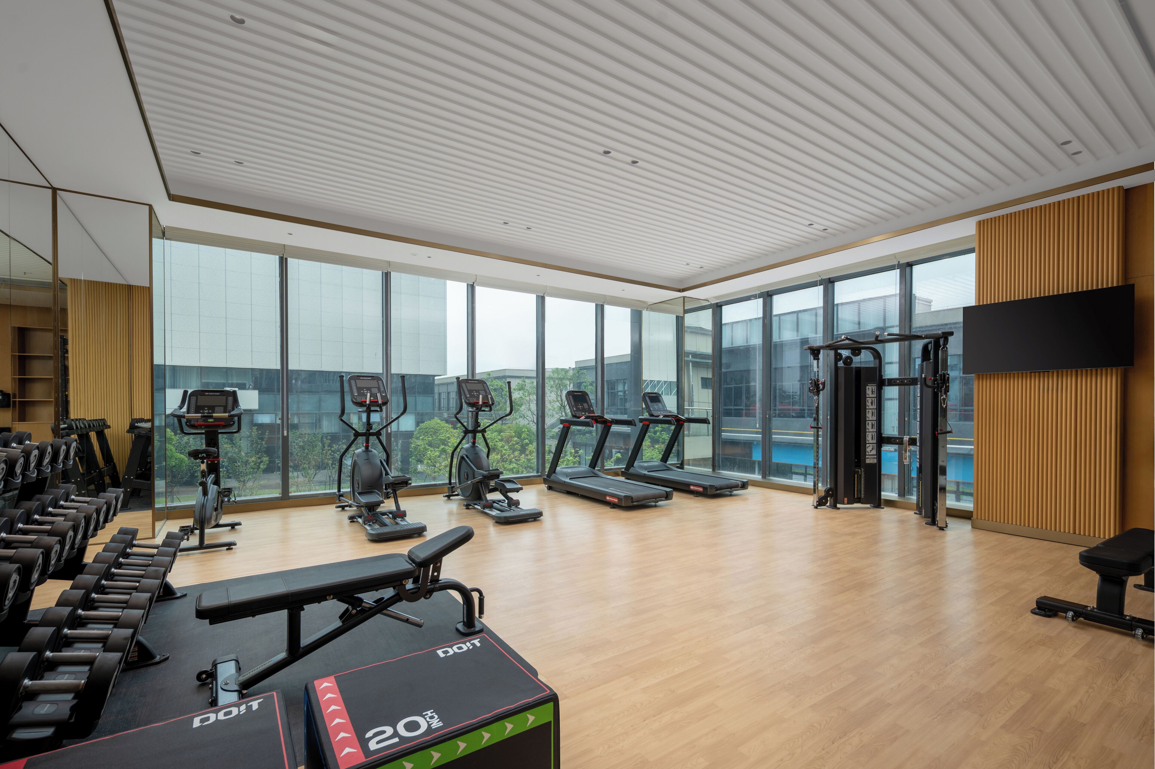 A modern gym with treadmills, elliptical machines, and free weights.