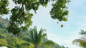 A resort with a covered outdoor seating area, lush greenery, and a view of a hillside building. - HOTEL JARDIN DEL RIO  (Betania)