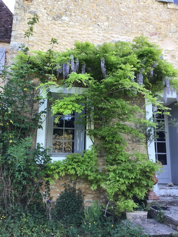 Détail de l’extérieur