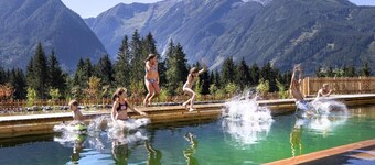 Chalet in Neukirchen Near Wildkogel Ski Arena