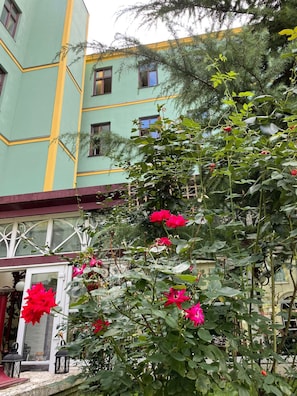 A building with a green facade and yellow trim, surrounded by lush greenery and vibrant red flowers. - Hotel Viki (Vienna)