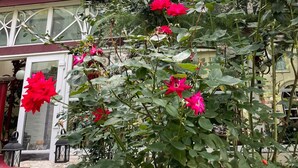 A building with a green facade and yellow trim, surrounded by lush greenery and vibrant red flowers. - Hotel Viki (Vienna)