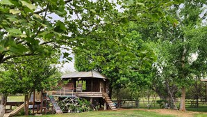 Une cabane en bois rustique, surmontée d’un toit en métal, entourée d’une aire de jeux clôturée avec des toboggans et des balançoires.