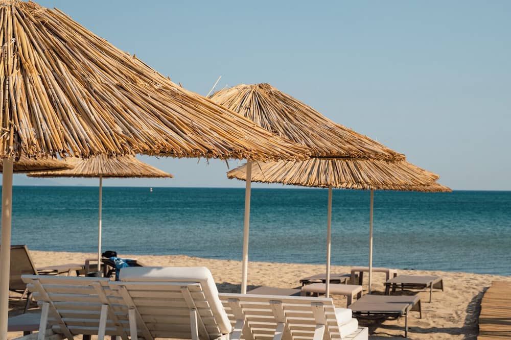 Koi Ayvalık