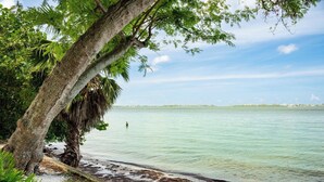 Ein Strand mit einem Baumstamm und einem hölzernen Steg, der zum Wasser führt.