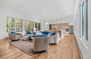 Smart TV, fireplace, books, computer monitors