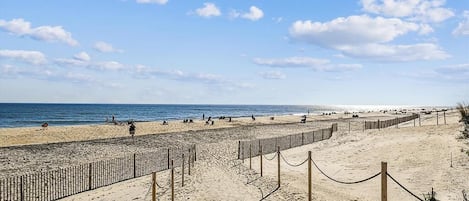 海灘