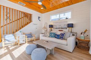 Smart TV, fireplace, books