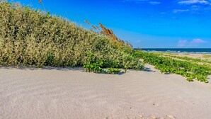 Une plage de sable bordée d’une végétation verdoyante, sous un ciel bleu et dégagé.