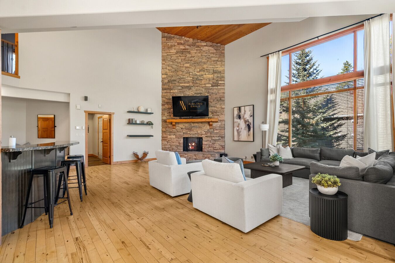 Télévision, cheminée, jeux vidéo, lecteur de DVD