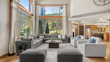 Televisor, llar de foc, videojocs i reproductor de DVD