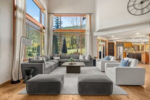 TV, fireplace, video games, DVD player