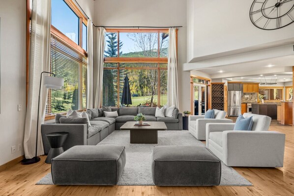 TV, fireplace, video games, DVD player