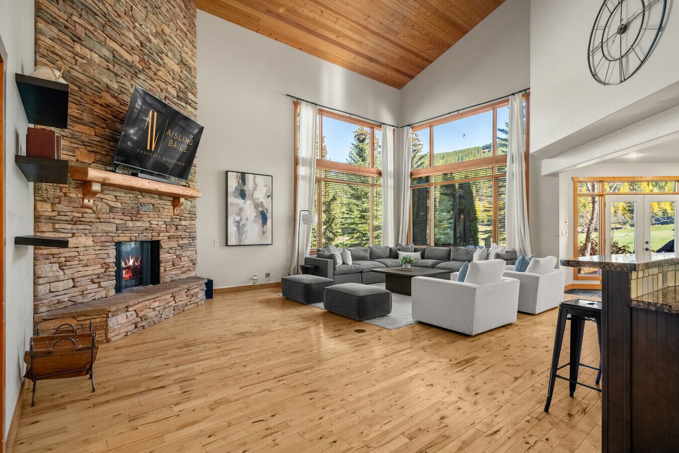 Télévision, cheminée, jeux vidéo, lecteur de DVD