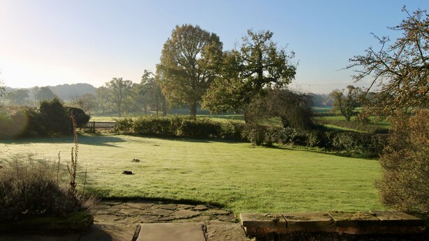 A grassy field with trees and a stone wall. - Higher Park Farm (Macclesfield)
