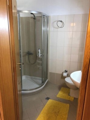 Hair dryer, bidet, towels, soap