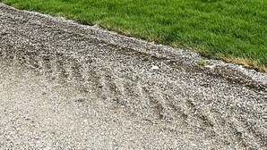 Ett stort, lantligt hus byggt av trä, med en framträdande veranda och många fönster.