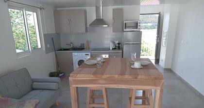 1 bedroom apartment in marigot