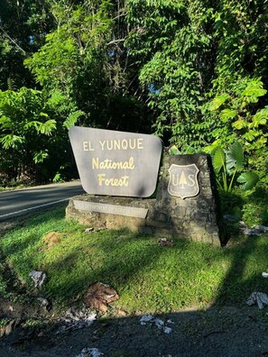 Un letrero del Bosque Nacional El Yunque con el logotipo del Departamento de Agricultura de los Estados Unidos.