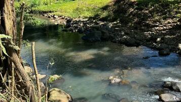 A natural outdoor setting with a stream, rocks, and greenery.