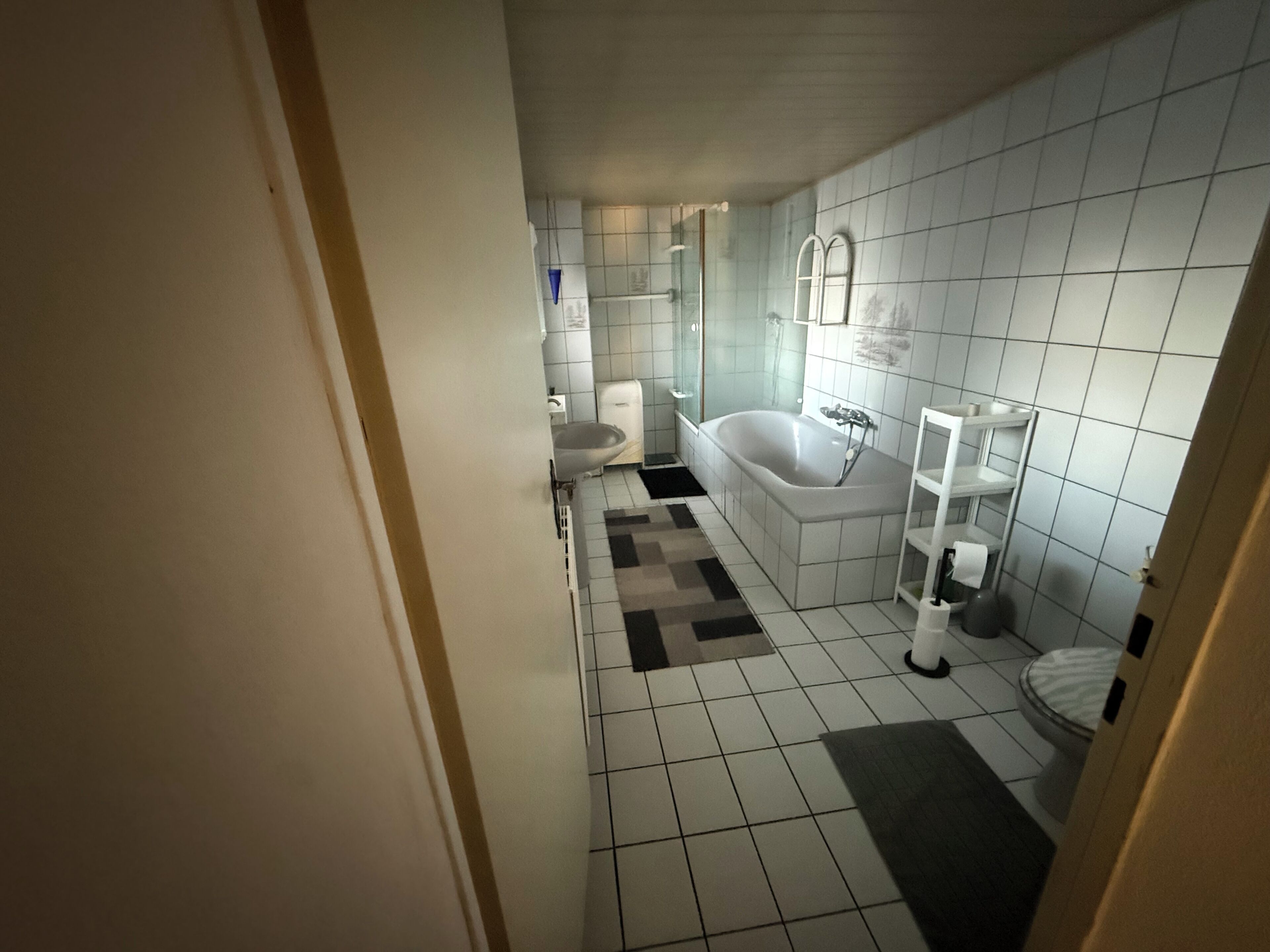 Douche, serviettes fournies, papier toilette