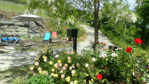 A garden with a variety of flowers, a pathway, and outdoor furniture.