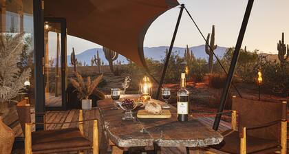 Tent Cholla