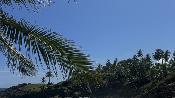 A beach with waves, palm trees, and rocky cliffs. - Garden of Eden Hotel (Vega Alta)