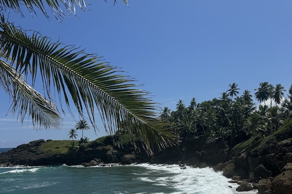 Individually decorated, individually furnished, iron/ironing board