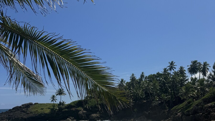Garden of Eden Hotel