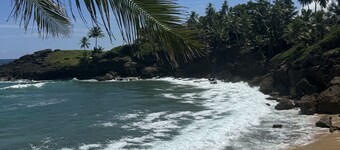 ์๋ด์ ์ ์ ํธํ
