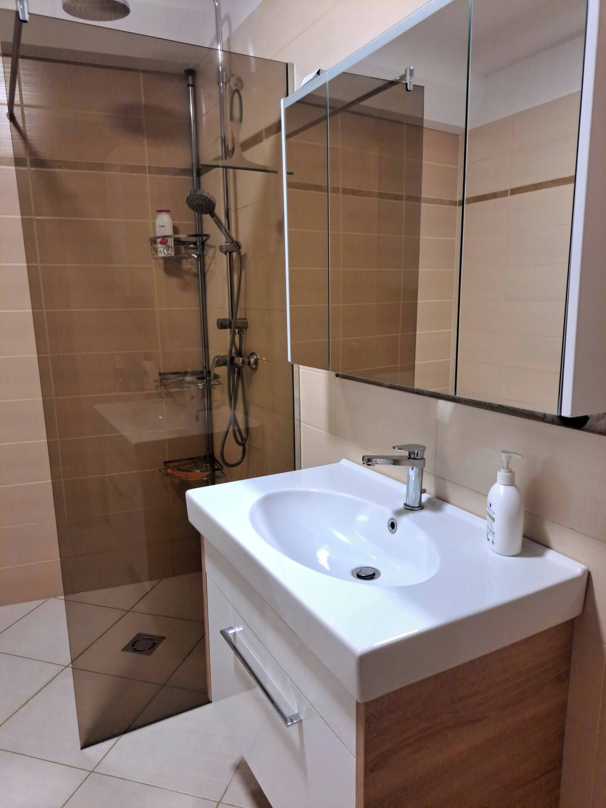 Appartamento, 2 camere da letto, fumatori, balcone | Bagno