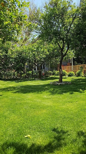 Jardin