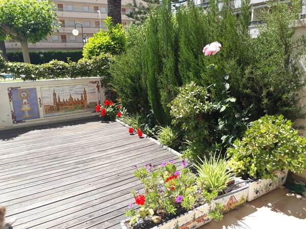 Terrein van de accommodatie