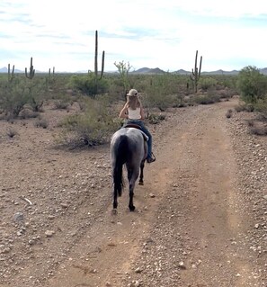 A person riding a horse on a dirt path surrounded by sparse vegetation and hills in the distance.