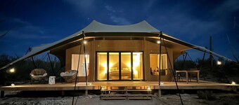 Tent Saguaro -  occupancy near Saguaro NP