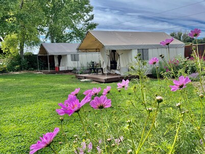 Daisy Glamping Tent with WiFi in charming Paonia- 2 XL DBL beds
