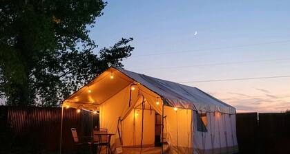 Daisy Glamping Tent with WiFi in charming Paonia- 2 XL DBL beds