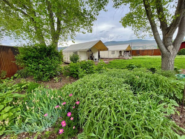 A garden with various plants and a tree, a wooden fence, and a building with a sloped roof.