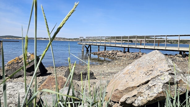 Une côte rocheuse avec une jetée en bois qui s’avance sur une étendue d’eau calme.
