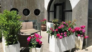 A courtyard with a wooden bench, a potted plant, and a flower planter with pink flowers. - B&B Villa La Ventana (Sant'Agnello)