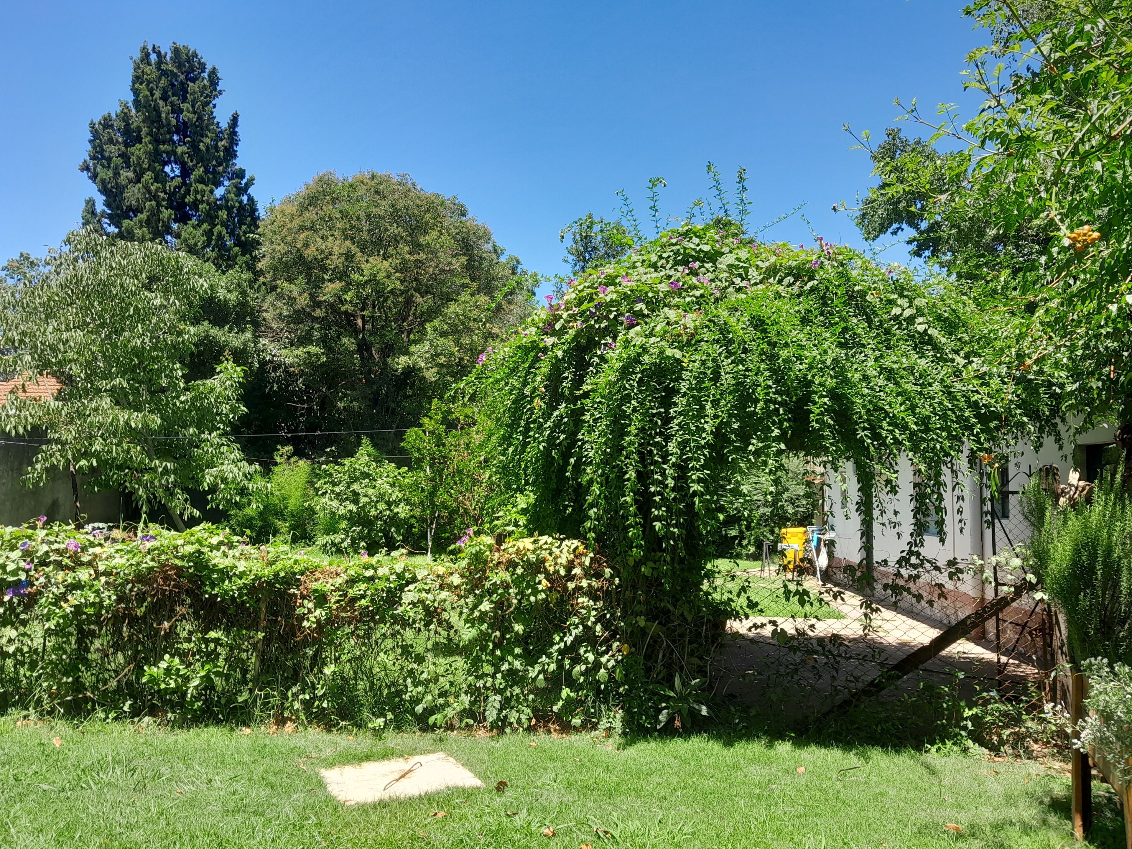 Parco della struttura